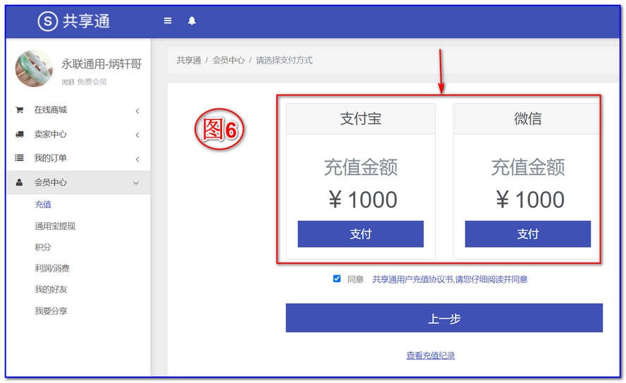 如上图6，选择你要充值的方式：微信或支付宝。之后就按提示完成你的充值，就可以回去购买。
