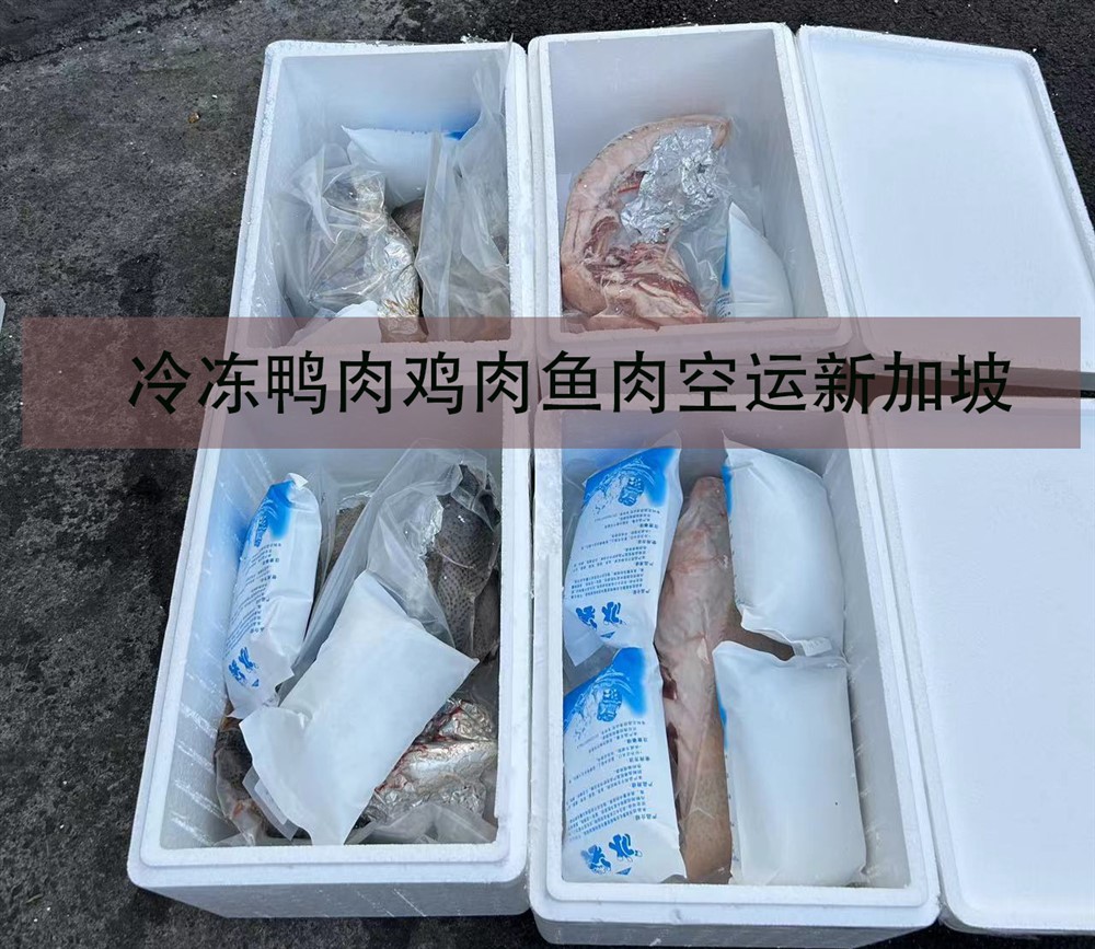 新加坡冷冻柜运输专线