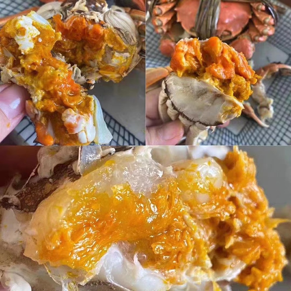 大闸蟹海运新加坡价格