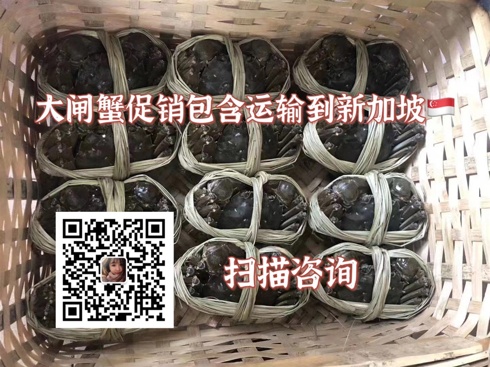 阳澄湖大闸蟹价格批发